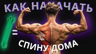 5 ЛУЧШИХ упражнений на спину / Программа тренировок для спины