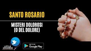 SANTO ROSARIO-Misteri Dolorosi |HOLY ROSARY IN ITALIAN -Sorrowful Mysteries|Tuesday & Friday Rosary