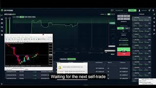 "GOwithGREEN": Automatic Binary Trading Without Robots