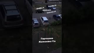 Жители дома по Партизана Железняка жалуются на стаи агрессивных собак