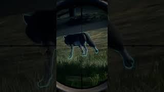 More pre-update wolf action! #thehuntercotw #thehunter #hunting #cotw #gaming #shorts #cotwgameplay