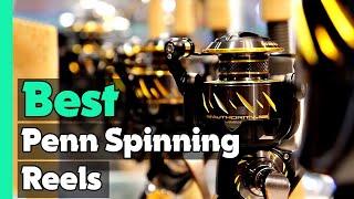 Top 5: Best Penn Spinning Reels In 2024  [ Best Penn Saltwater Spinning Reels ]