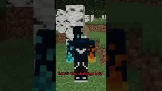 Minecraft, But the entire world is birch