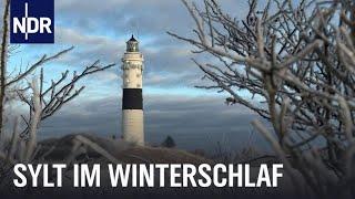 Sylt im Winter - Auszeit vom Saisontrubel | Nordseereport | NDR Doku