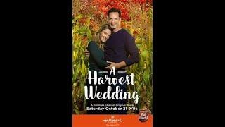 HALLMARK - "A HARVEST WEDDING" - REVIEW - TY AT NITE