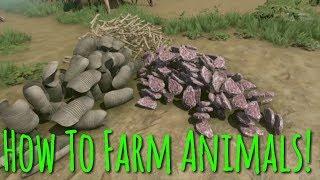 How To Farm Meat/Bones/Armadillo Shells! | Green Hell