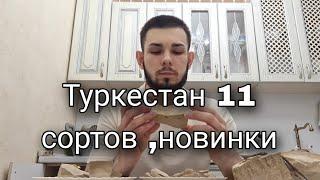 Все виды Туркестан | Новинки | Кудряшка | Шоколад | Пористый | Жёлтый | Глины | Меловой