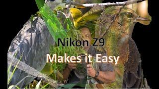 Nikon Z9 Makes It Easy