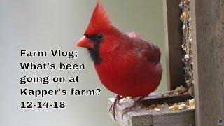 Farm Vlog 12-14-18. Kapper Outdoors Illinois homestead/farmstead