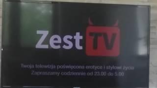 Zest TV.(1)