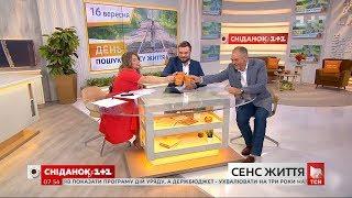 Как найти смысл жизни - советы психотерапевта Олега Чабана