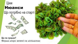 Скільки коштує бізнес мікрозелені на старті. | Що купити. | З чого почати.| Ціни.