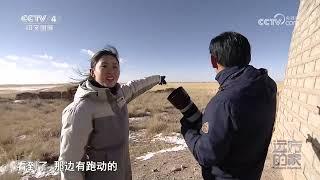 《远方的家》 20240215 山河锦绣看中国 大美青海 多彩家园|CCTV中文