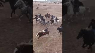 Раҳимбердӣ “МУЖДА” #buzkashi #horse #uloq #kupkari #rek #tajikistan #лошади #uzbekistan #horseriding