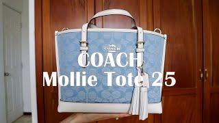 Coach Mollie Tote 25 Review & What Fits!