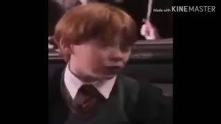 Wingardium Leviosa Meme