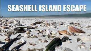 ​​Escape to an island covered in seashells. The 10K islands are seashell heaven!