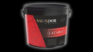 SALVADOR Paint / CATARO - TR