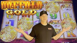 Buffalo Gold 4 Coin Bonus at Saracen Casino!