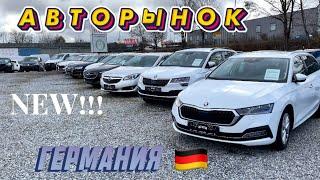 Это ШОК!! Недорогие авто в Германии? Авторынок Германии 2024. Цены на Авто.