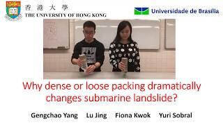 Influence of packing density on immersed granular collapse