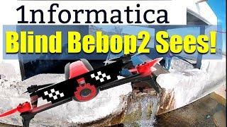 Parrot Bebop 2 Camera Alternative Caddx Turtle