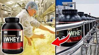 How WHEY PROTEIN is Made In Factories | You Won't Want to Miss This!