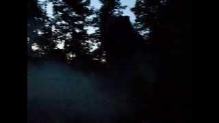 Backyard Terrors Dino Park in the Dark T-REX Encounter 2014