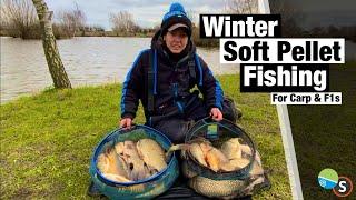 Soft Pellet Fishing For Carp & F1s In Winter - Lindholme Lakes