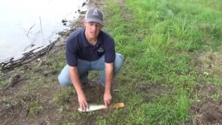 Pond Management: Harvesting Largemouth Bass, Bluegill, & Bream in Recreational Fishing Ponds