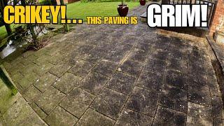 SHOCKING! You Won't believe How Bad This Patio & Driveway Were! Can They Be Saved??