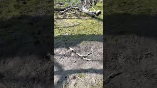 There are no regrets  #family #nature #outdoors #familyvlog #familyfun #vlogfamily #loveletter