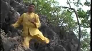 Ngôi sao võ thuật - Võ Lâm Phật Gia Việt Nam