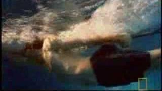 Brandon Routh Swimming