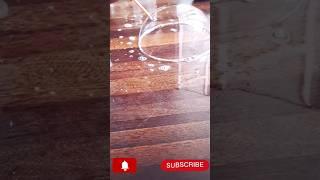 Bubble experiment#trending#ytshorts#shorts#dinesh kumawat classes