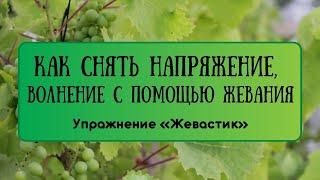 Снятие напряжения и волнения с помощью жевательных упражнений. Упражнение «Жевастик».