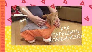 КАК ПЕРЕШИТЬ КОМБИНЕЗОН ДЛЯ СОБАКИ/ПЕРЕШИВ КОМБИНЕЗОНА/ШЬЕМ ЖИВОТНЫМ