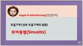 상부호흡기계 질환  부비동염 sinusitis