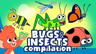 Learn Insects and Bugs for Kids | Cute Insect a to z Cartoon Compilation | Club Baboo