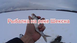 Рыбалка на реке #Шексна  #Череповец