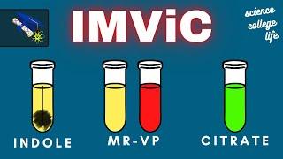 IMViC Test | Indole MR-VP Citrate | Microbiology Lab