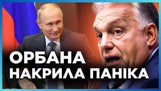 Орбан резко ЗАПАНИКОВАЛ. Путин НАПУГАЛ до смерти венгерского премьера. Что случилось? ДЯЧУК