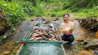 Ana catches fish, using a primitive fish trap.