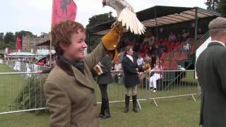 Falconry: Our Intangible Cultural Heritage