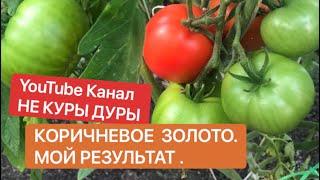 Куриный помет как удобрение. Мой результат.