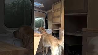 SOLO FEMALE VAN TOUR