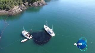 Herring Cove, Campobello Island, New Brunswick