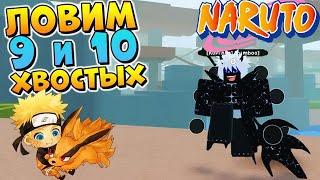 ШИНДО ЛАЙФ ЛОВИМ ХВОСТАТЫХ  Roblox Shindo Life