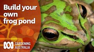 Build Your Own Frog Pond | Garden Design | Gardening Australia