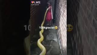 23 de novembro de 2018